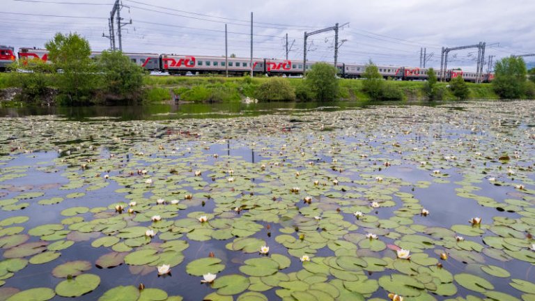 Второй экологический форум «Байкал и Право» состоялся в Иркутской области